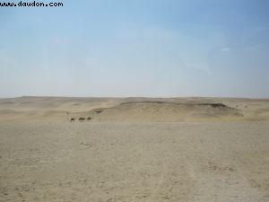 pyramid of giza - Cairo - Atlantis Cruise - Ms Celebrity Solstice (August 2009)