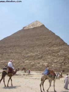 pyramid of giza - Cairo - Atlantis Cruise - Ms Celebrity Solstice (August 2009)