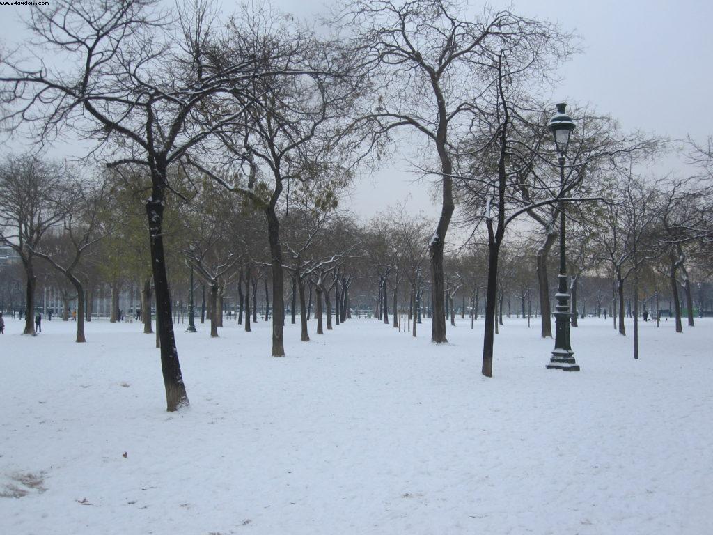 Christmas Time - Paris